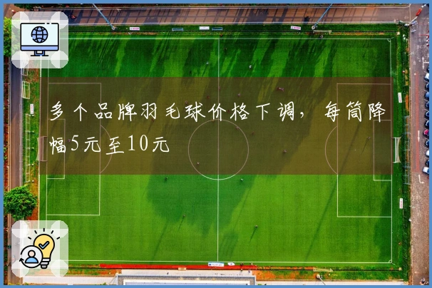 多个品牌羽毛球价格下调，每筒降幅5元至10元