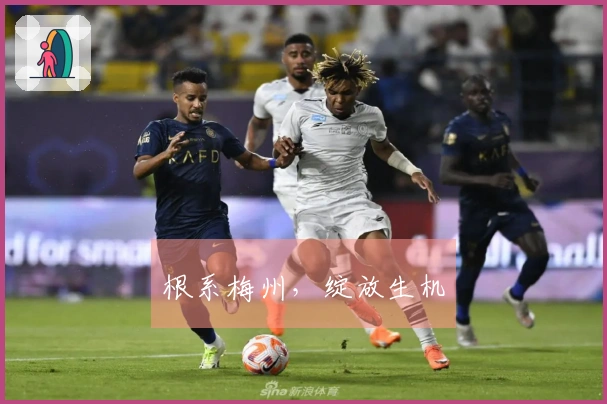 根系梅州，绽放生机